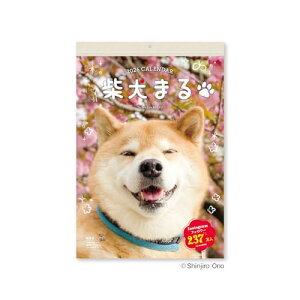 V{J_[ 2026N J_[ Ǌ| Č܂  NK4010 