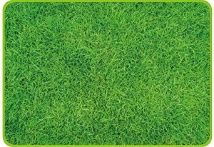 p[ W[V[g 70×100 Ő sN`[ D-2335 