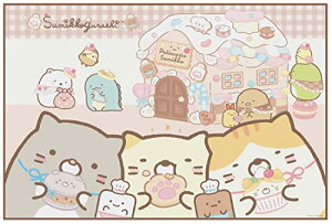 XP[^[ (skater) W[ V[g STCY 60×90cm ݂R炵 َq VS1 