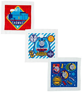  ڂ^I 3g P[Xt 񂵂g[}X 30×30cm WCtg[}X RۖhLH wObY w 