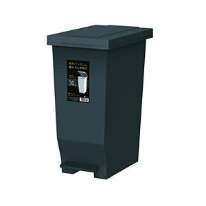 アスベル フタ付きゴミ箱 エバンMP密閉ペダル しっかり密閉 30L 黒 ニオイ漏れ防ぐ A6301 送料無料
