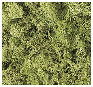 KATO WI}pi VRfރvc CgO[ 24-332 S͌^pi 