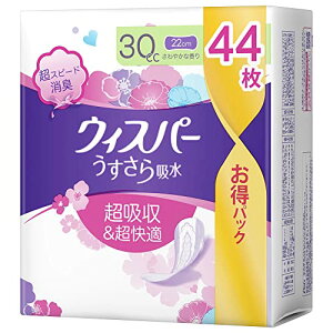 EBXp[ z 30cc 22cm 44 e (p zPA Apbh)yʗpz 