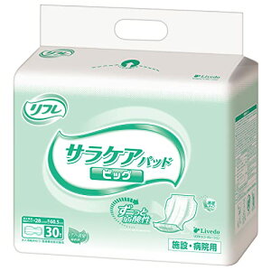 t TPApbh rbO Apbh (6z / 30) lpނ h~ (jp/pi) pbh 