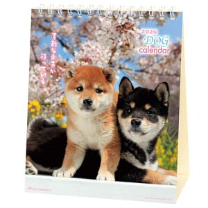 ANeBuR[|[V 2026 J_[  ghbO 26ACL-536 2026N 1n܂ 