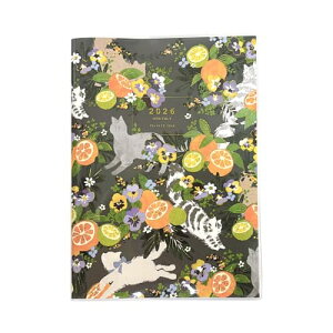 N[Ys Tomoko Hayashi 蒠 2026N B6 }X[ IWƂ˂ SB96504 (2025N10n܂ 