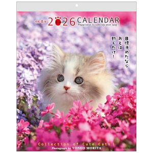 ANeBuR[|[V 2026 J_[ Ǌ| XcėY bZ[WJ_[CAT 26ACL-10 2026N 1n܂ 