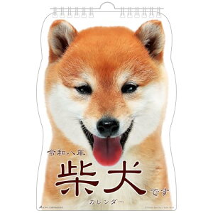 ANeBuR[|[V 2026 J_[ Ǌ| Čł 26ACL-65 2026N 1n܂ 