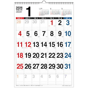 ANeBuR[|[V 2026 J_[ Ǌ| BIG B3 26ACL-55 2026N 1n܂ 