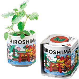 V| ʔN ƒ؉ ͔|Lbg o[ n[u  ̌a 4cm ~j ȒP Ă ͔|Zbg (R/ 