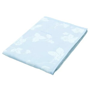 nishikawa y  z Ȗѕz VO 􂦂 100 EFbWEbh Ch Xgx[ 炩 { u[ 