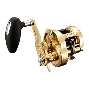 V}m(SHIMANO) DAItVA 22 IVARNGXg 300HG 