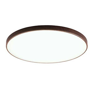 yߓd΍z AGLED LEDV[OCg  8 ({ƖHƉ) 4000lm Ebht[ _[NuE ؖ 