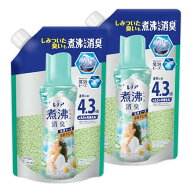 レノア 超消臭 煮沸レベル消臭 抗菌ビーズ 部屋干し 花とおひさまの香り 詰め替え 1810mL×2袋 【まとめ…