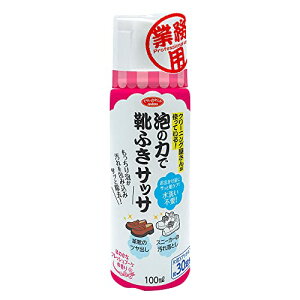 アイメディア(Aimedia) アイメディア 靴用洗剤 泡洗浄 靴クリーナー 100ml 30足分 日本製 シューケア 泡フォーム 水洗 送料無料