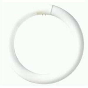 �p�i�\�j�b�N �u�����ی` 40�` �i�`�������F �p���b�N �v���~�A20000 FCL40ENW38MF2 ��������