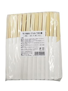 aY 蔢 |V픢 nnJ} 21cm 100V ܓ Ɩp 