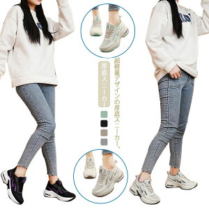 gAbv Xj[J[  V[Y fB[X r y Cq[ Ȃ GANbV ₷ [Jbg ʊw 8cmgAbv WjA JWA ʋ EH[L