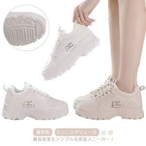  _bhV[Y ₷ _bhXj[J[ jOV[Y [Jbg fB[X X|[c  EH[LOV[Y ʋ ^C ʋC Xj[J[ r y gAbv J