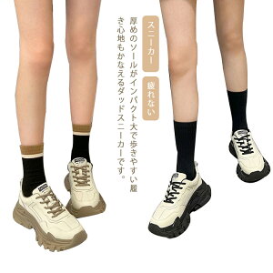 [Jbg  Ȃ V[Y d C fB[X ₷ _bhXj[J[ 6cmq[ _bhV[Y qbg ɂ Xj[J[ y wC ʊw r