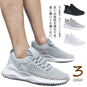 Xj[J[ ₷ Y y JWA ^C [Jbg rX|[cV[Y bV ʋC rX|[cV[Y ɂ EH[LOV[Y ~ tBbglX 