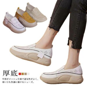 K y Xj[J[ L r bV [t@[ Xb|  JWAV[Y  lԍHw fB[X  ʋC t  EH[LOV[Y [Jbg  