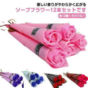 ʉ 1 \[vt[ Mtg t[ [Y J[l[V Mtg ԑ KN Ǝ o 蕨 \ w 12{Zbg EGfBO \[vt[ v[g Ӊ e j