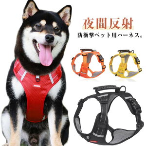 ̃[h ^  op [h p ybgpi JWA ^ n[lX ^ n[lXxg hbOpi hՌ Ȃ n[lX nht ȒPE  U ߉\ 