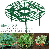 楽天市場】いちご 支柱の通販