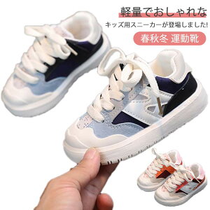 j̎q qC Xj[J[ C Mtg LbY t@[XgV[Y ̎q tH~ ^C tbgV[Y 킢 ~ c   Ǝ w j xr[V[Y