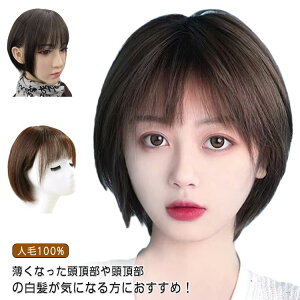 R GNXe   fB[X l100%  ×p {uEBbO V[gEBbO EBbO ~j{u ~`Eя B ނ `FW tEBbO