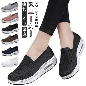 Xj[J[ fB[X D^ y EH[LOV[Y  i[XV[Y bV C Xb| q[ ɂ r ₷ wlC Ōt g[jO W jO 