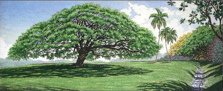 楽天市場】キャロル・コレット「Moanalua Gardens, Hawaii」Collette 