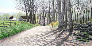 LERbg uCountry LanevCollette ʐFŉIׂVizt@ 