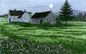 LERbguTwilightC Full Moonv Collette ʐFŉIׂVizt@ 