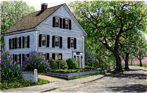 LERbg uMay IvCollette ʐFŉIׂVizt@ 