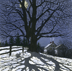 LERbg uClear Winter NightvCollette ʐFŉIׂVizt@ 