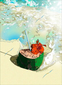 ؉plunCrXJXƃRRibcv-HIBISCUS & COCONUT- 2006N EMOt ztŉi  