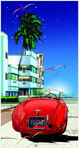 ؉pluI[V wCuv-OCEAN HAVEN- 2007N EMOt ztŉi  