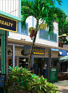 ؉plunCX[xjAA[P[hv-HALEIWA SOUVENIR ARCADE- 2010N EMOt ztŉi  