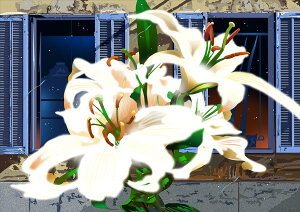 ؉plu̔v- LIFE IS A BLOSSOM- 2012N EMOt ztŉi 