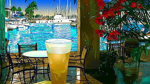  pl uCLĽߌ̂ЂƂƂ v ƒMTCEԍ 2024N EMOtIׂVizt plFXE^ؖt ŉ A[g 