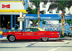  ؉pluI[VhCu2v 2021N EMOt ztŉi 