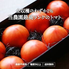 【送料無料】あかねトマト「極み」1kg（兵庫県産・農薬不使用）ギフトやプレゼント、お歳暮に！★産地直送 栄養 美容 美肌 健康 安心 安全