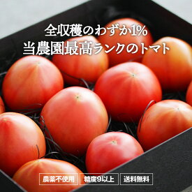 【送料無料】あかねトマト「極み」1.5kg（兵庫県産・農薬不使用）ギフトやプレゼント、お歳暮に！★産地直送 栄養 美容 美肌 健康 安心 安全