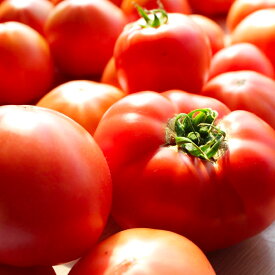 【送料無料】プレミアムトマト（訳ありトマト）2kg 農薬不使用・化学肥料不使用