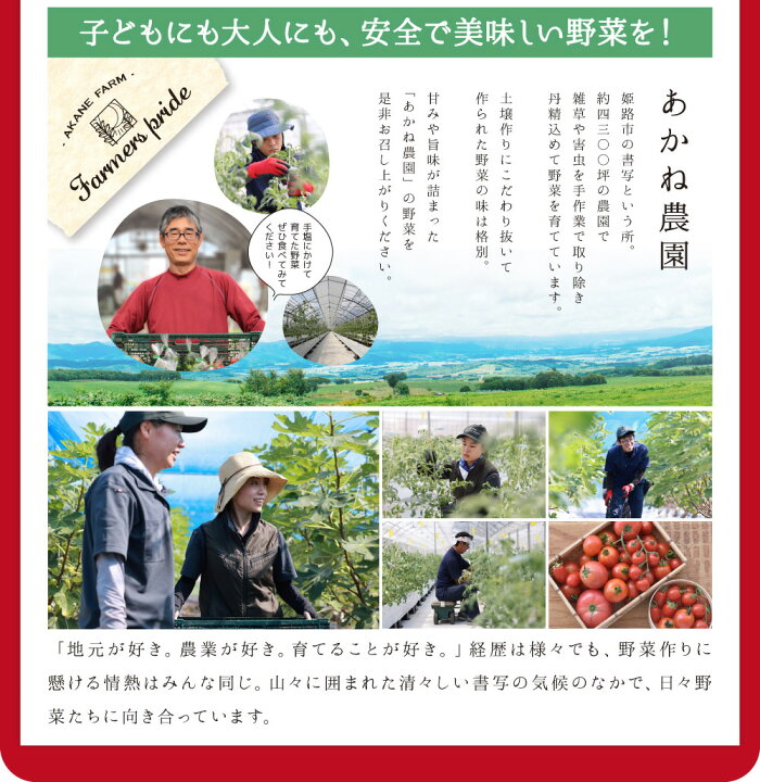楽天市場 トマトタワー おしゃれ ギフト プレゼント 父の日 敬老の日 内祝い 出産祝い 手土産 健康 美容 産地直送 あかね農園 楽天市場 トマトタワー おしゃれ ギフト プレゼント 父の日 敬老の日 内祝い 出産祝い 手土産 健康 美容 産地直送 あかね農園