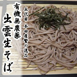 出雲そば【蕎麦】★楽天ランキングそば部門1位獲得!有機出雲そば生・めんつゆセット(4人前)箱なし家庭用【出雲蕎麦】【そば】【生そば】【出雲】【日本そば】【そばつゆ付き】【通販】【ラッキーシール対応】