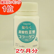 自然由来原材料使用 非変性2型コラーゲン【約2か月分】60粒【送料無料】楽らく非変性2型コラーゲン/非変…