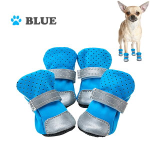  C pu[c hbOV[Y pC pC JpC h h  S SEMELEXL